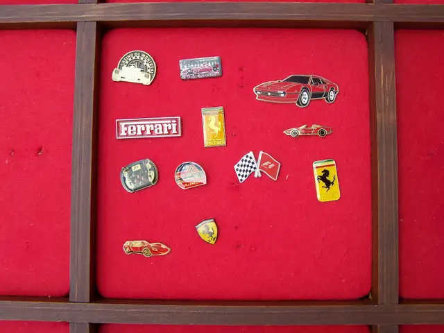 CADRE VITRÉ: ÉPINGLETTES/MÉDAILLES/PINS/MEDALS GLASS FRAME RARE - Photo 3