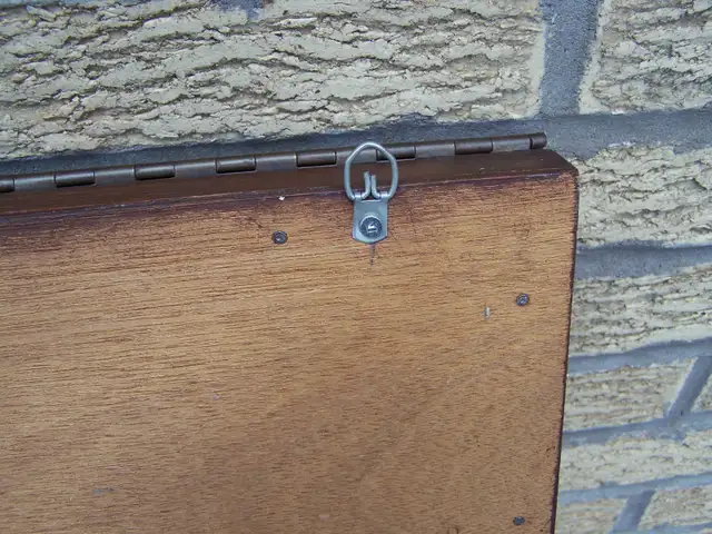 CADRE VITRÉ: ÉPINGLETTES/MÉDAILLES/PINS/MEDALS GLASS FRAME RARE - Photo 7