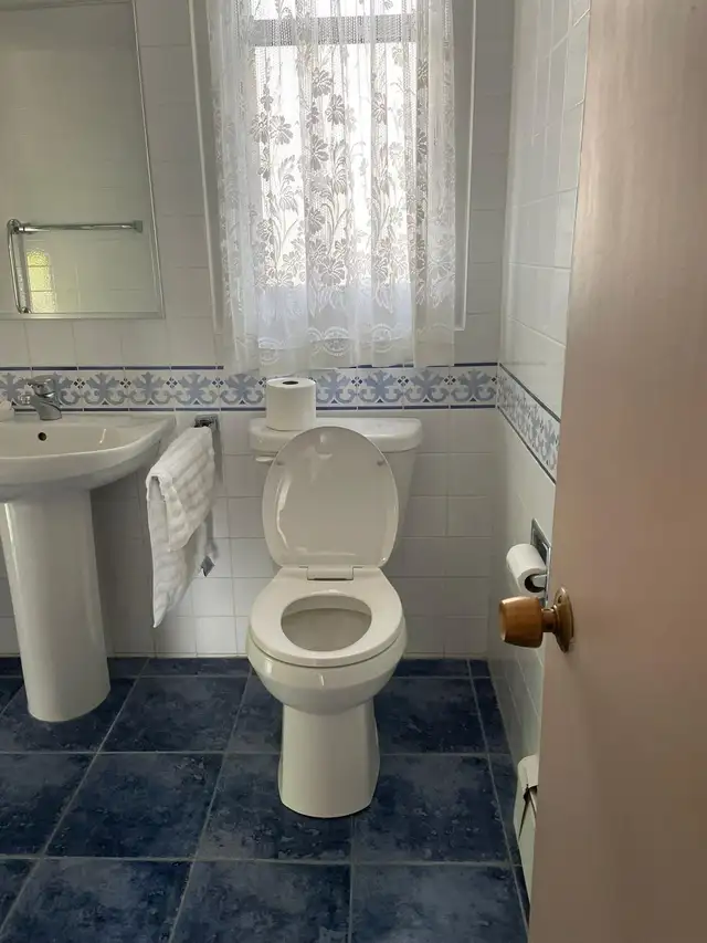 Magnifique, grand 7.5 dans le Vieux Greenfield Park - Photo 4