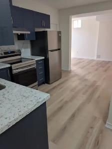 Basement for Rent – Newly Finished 2-Bedroom Suite (L6X 2M2)