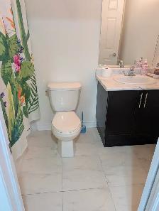 Basement for Rent – Newly Finished 2-Bedroom Suite (L6X 2M2) - Photo 15