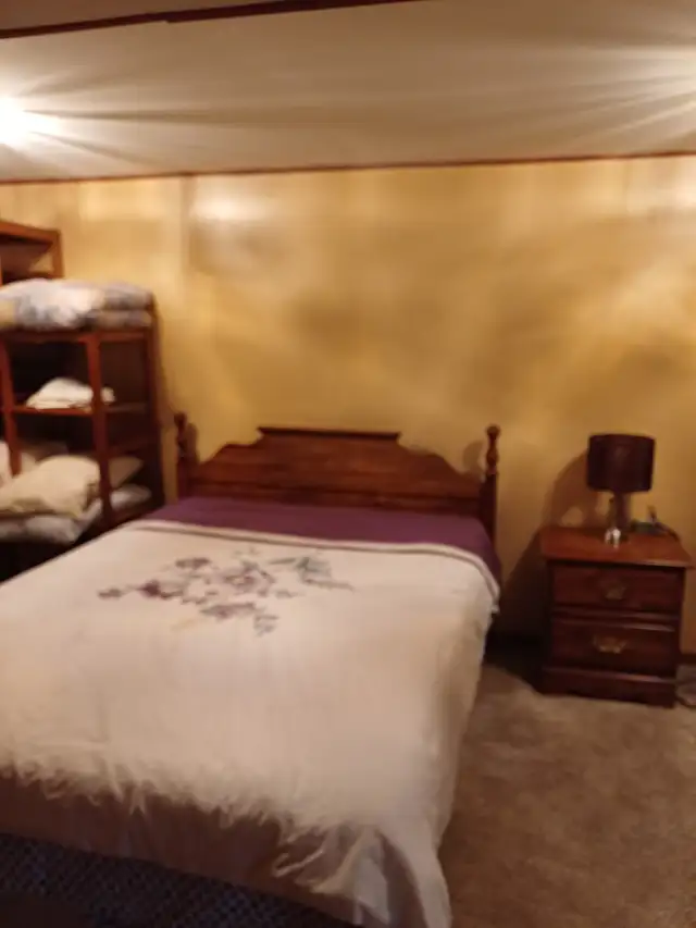 Furnished Basement Apartment - Photo 2