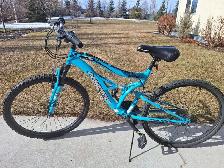 Youth mountain bike