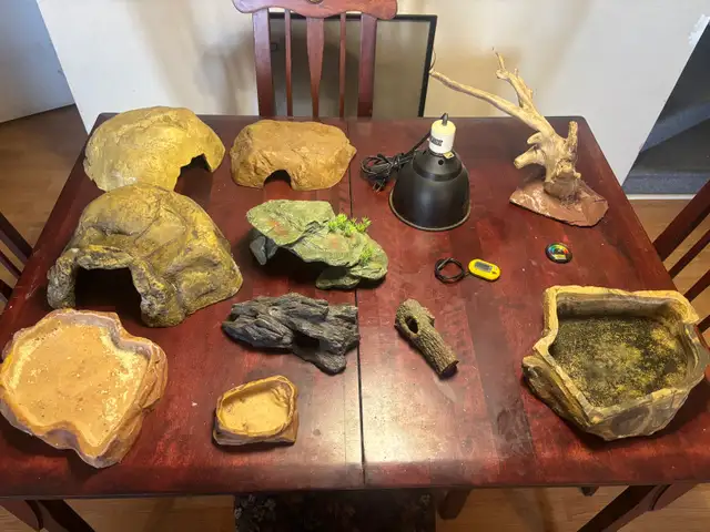 vivarium aquarium - Photo 6