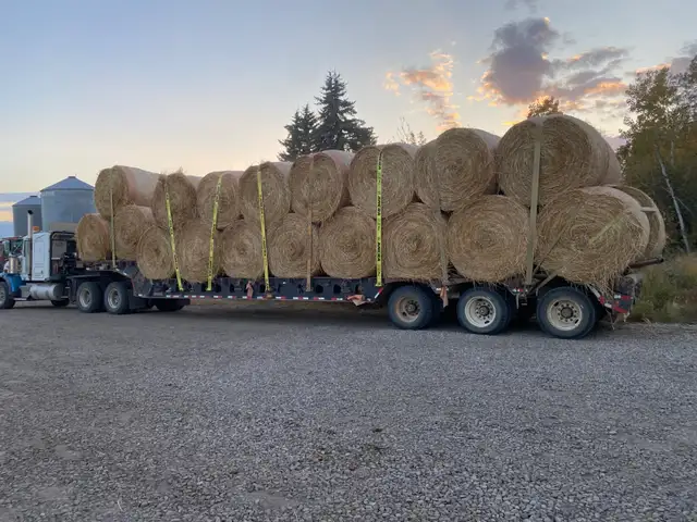 Custom Hauling - Photo 4