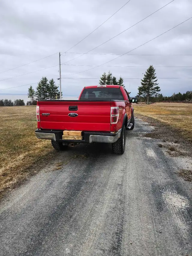 2010 Ford F150 4x4 - Photo 3