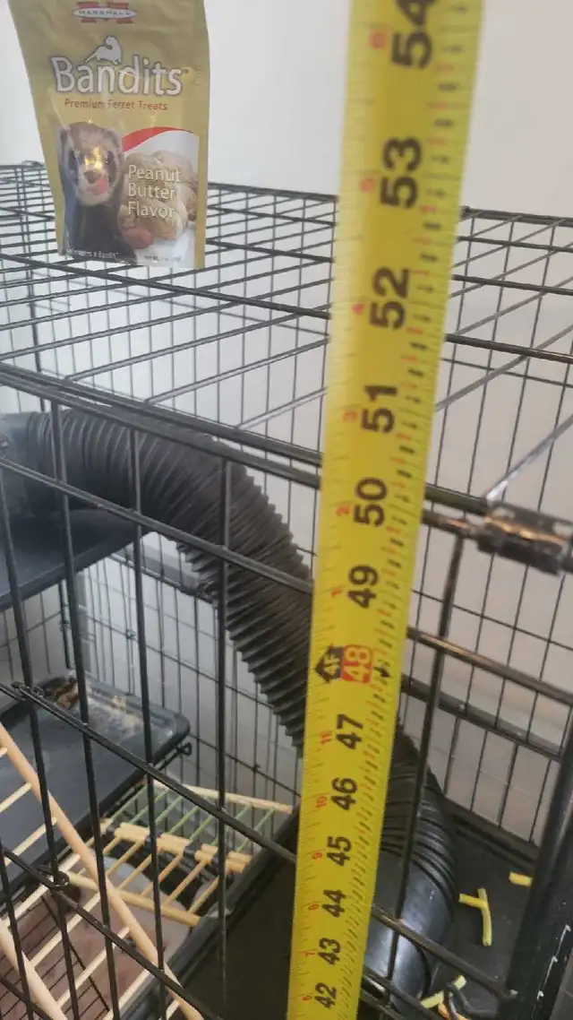 furets avec grande-cage et tout c jouet compris - Photo 8