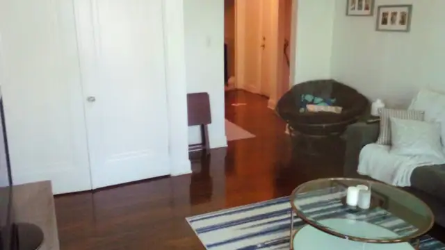 Large one bedroom apartment. Jackson park. $1,200 - Photo 3