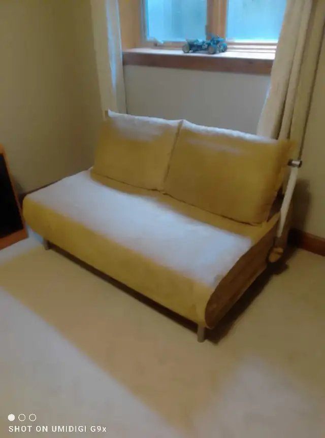 Futon Couch