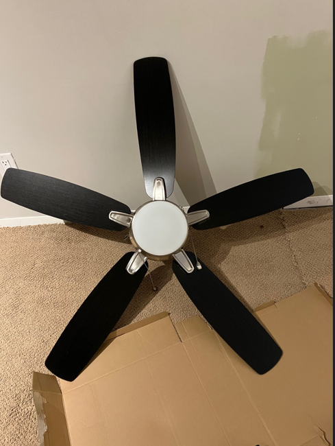 Ceiling Fan With Light