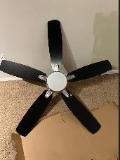 Ceiling Fan With Light