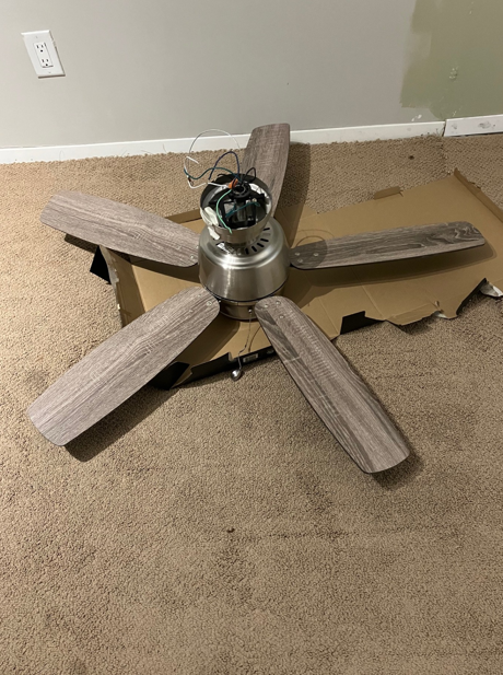 Ceiling Fan With Light - Photo 2