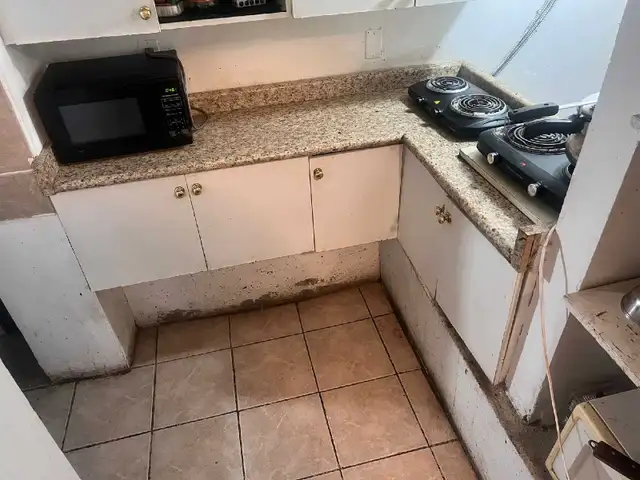 WALKOUT BASEMENT FOR RENT IN MALTON - Photo 4