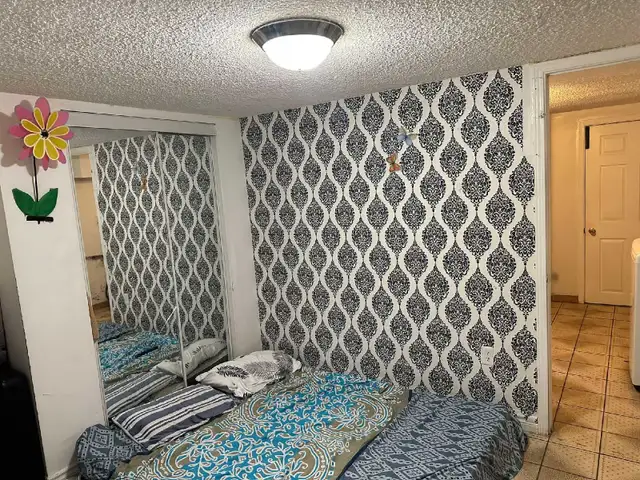 WALKOUT BASEMENT FOR RENT IN MALTON - Photo 6