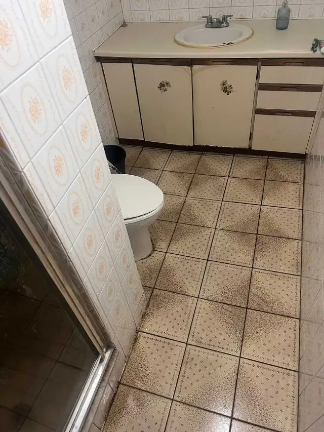 WALKOUT BASEMENT FOR RENT IN MALTON - Photo 9