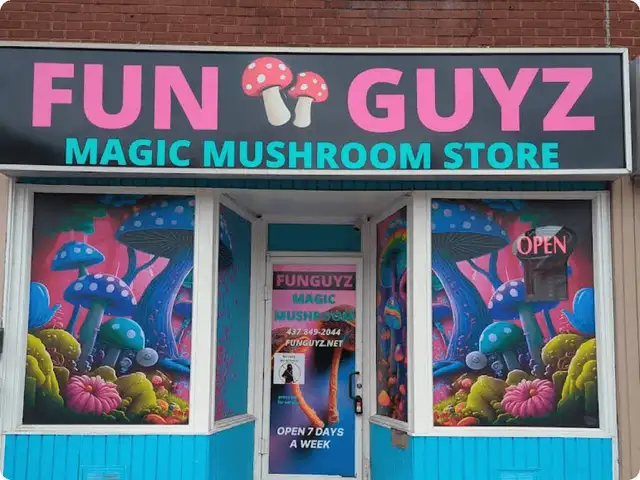 mushroom retail worker - Photo 2
