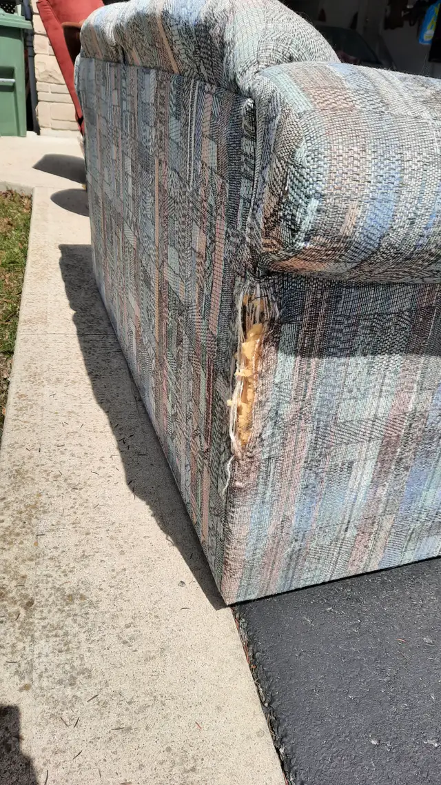 Free furniture! - Photo 6