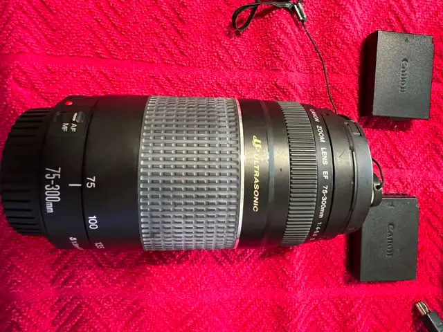 Canon EOS Rebel T-7 Camera Package - Photo 2