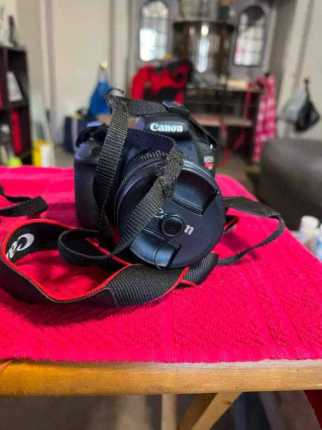 Canon EOS Rebel T-7 Camera Package - Photo 6