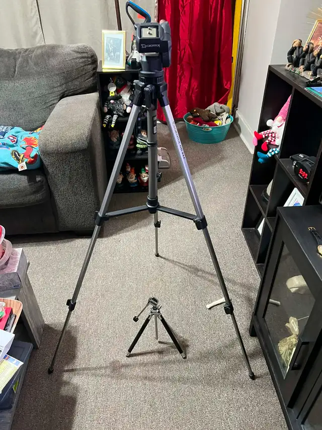 Canon EOS Rebel T-7 Camera Package - Photo 10