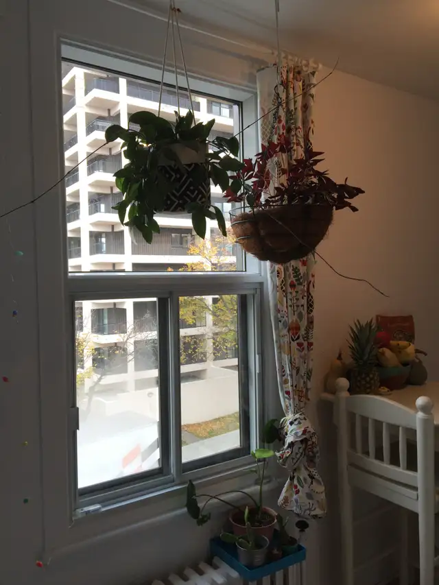 Appartement 2 1/2 Chauffé, eau chaude, poêle, frigo, Juillet - Photo 2