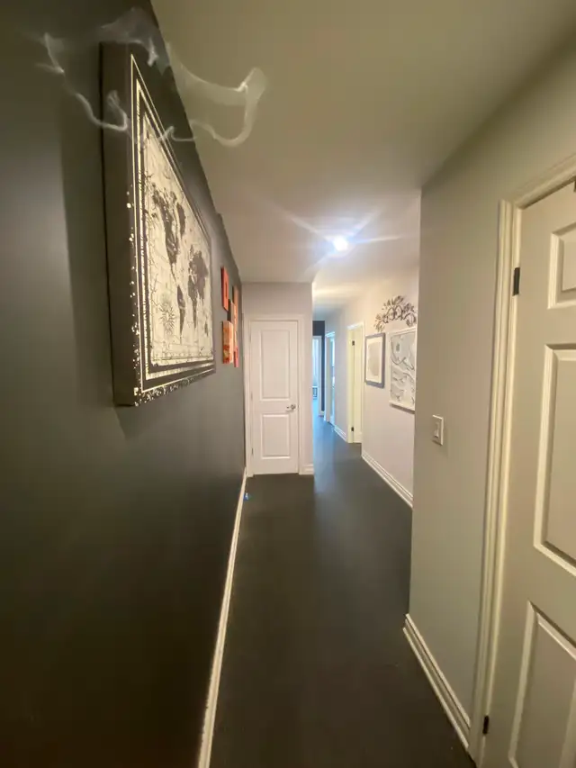 Large Studio Room Apartment Prime Location Queen Street - Photo 7