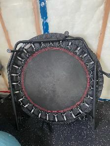 mini trampoline.  adult children