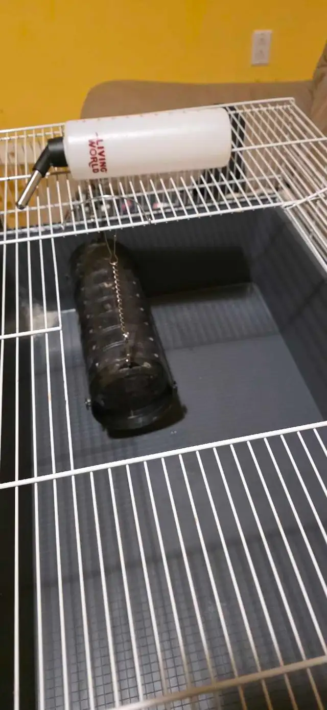 Living World Pet Cage - Photo 4