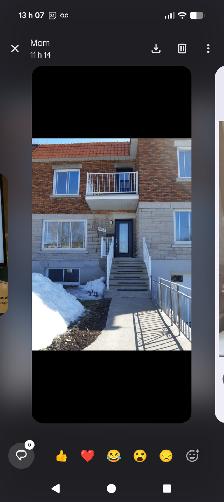 3 1/2 Rosemont parc Maisonneuve