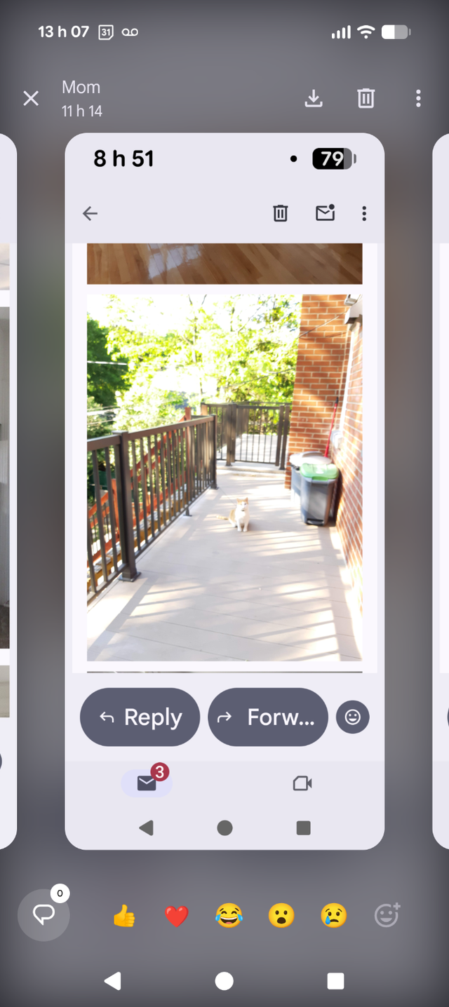 3 1/2 Rosemont parc Maisonneuve - Photo 3