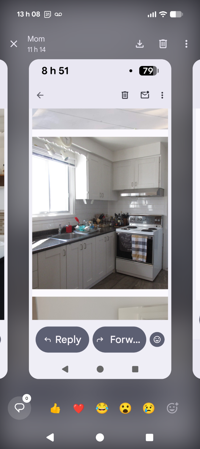 3 1/2 Rosemont parc Maisonneuve - Photo 4