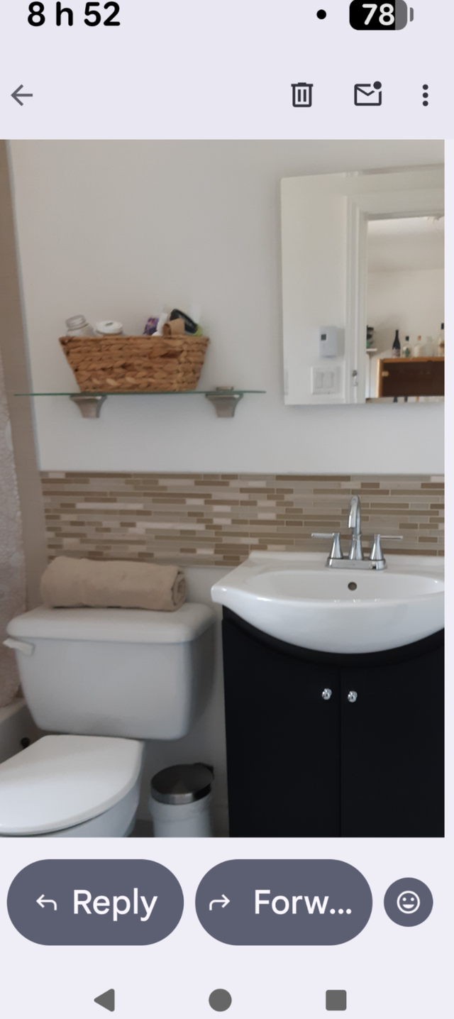 3 1/2 Rosemont parc Maisonneuve - Photo 5