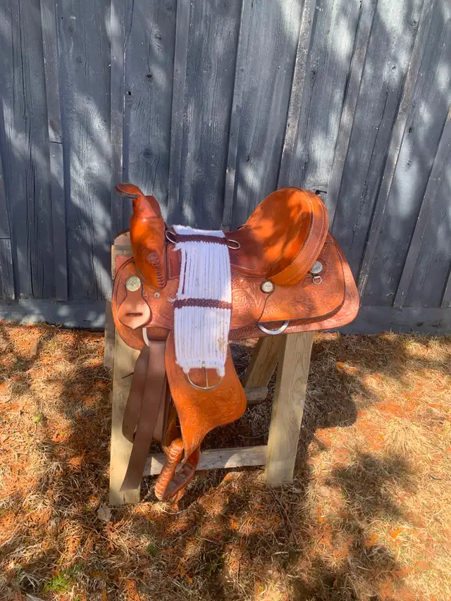 15’ Western Saddle $500 OBO
