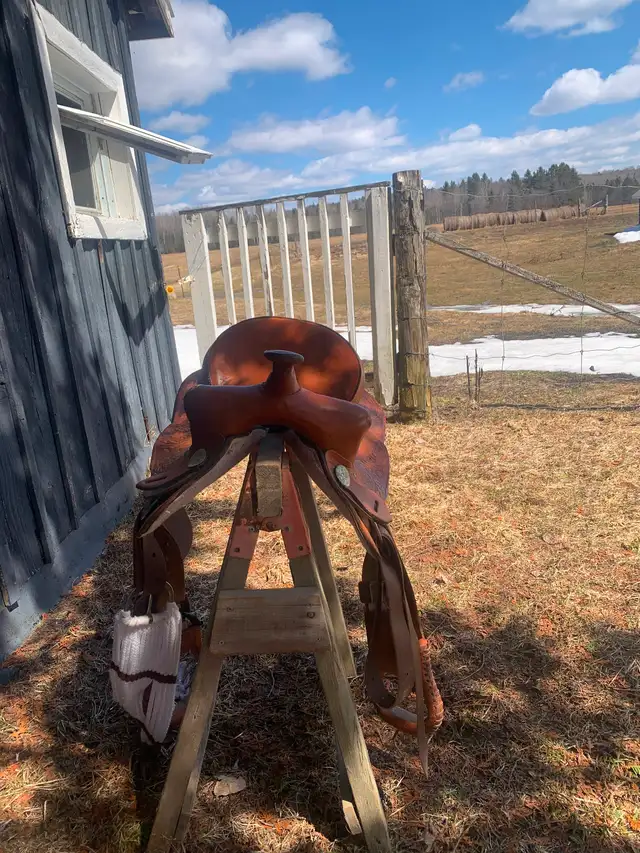 15’ Western Saddle $500 OBO - Photo 3