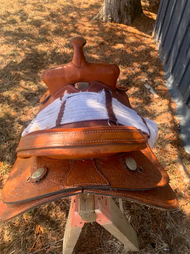 15’ Western Saddle $500 OBO - Photo 4