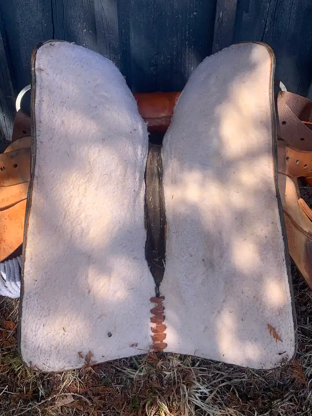 15’ Western Saddle $500 OBO - Photo 5