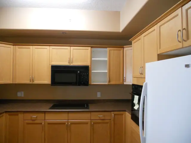 Kitchen Cupboards - Photo 3