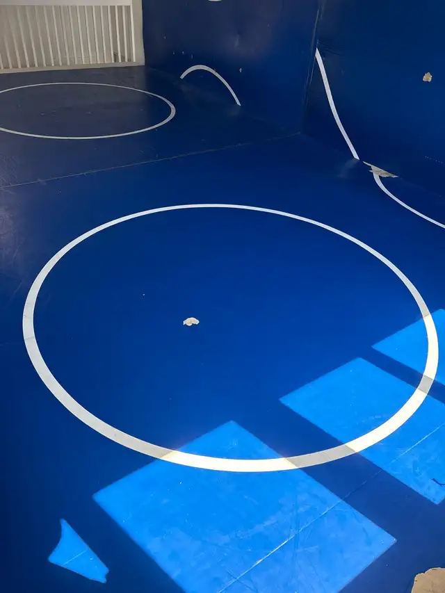 wrestling/ MMA mat - Photo 3