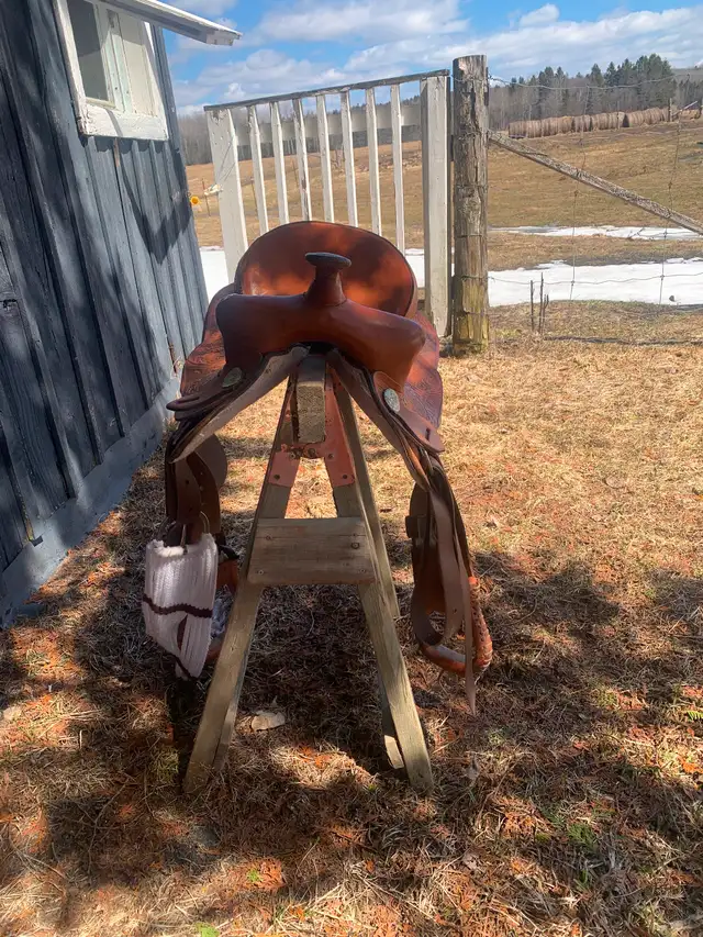 15’ Western Saddle $500 OBO - Photo 3