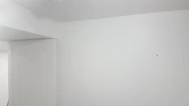 TWO BEDROOM LEGAL BASEMENT FOR RENT.416-9994245. - Photo 5