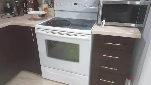 TWO BEDROOM LEGAL BASEMENT FOR RENT.416-9994245. - Photo 12