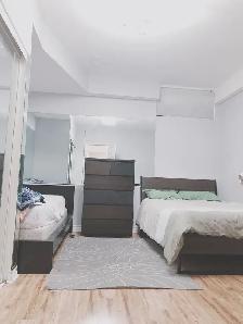 Cozy and clean private unit (North york, 1 1, Female house) - Photo 3