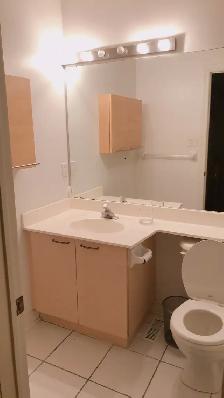 Bright and clean Master room(Female house, North york) - Photo 4