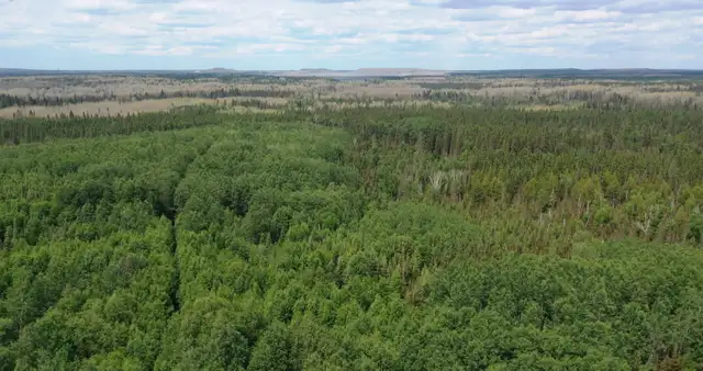 43 Acre Parcel in Timmins Bordering 1000s of Acres of Crown Land