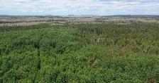 43 Acre Parcel in Timmins Bordering 1000s of Acres of Crown Land