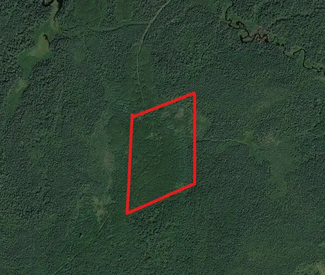 43 Acre Parcel in Timmins Bordering 1000s of Acres of Crown Land - Photo 2