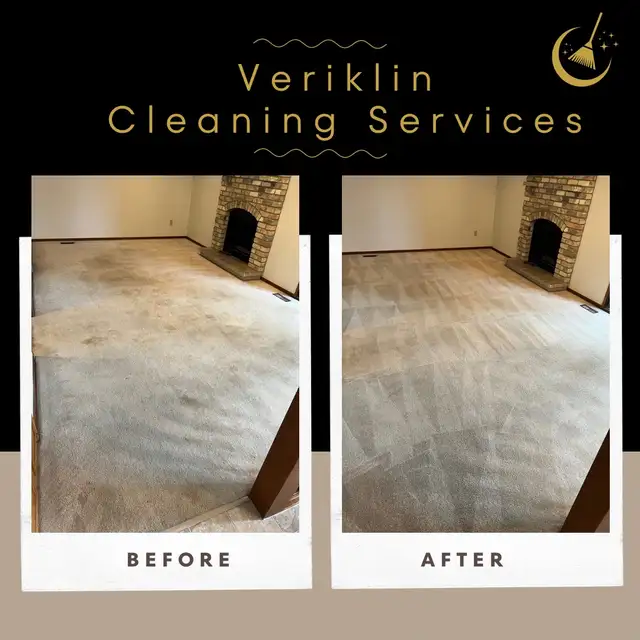Professional Carpet Cleaning