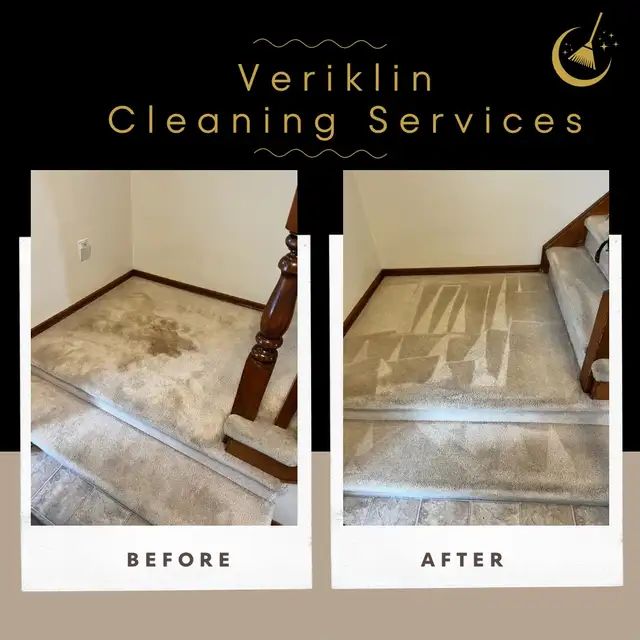 Professional Carpet Cleaning - Photo 2