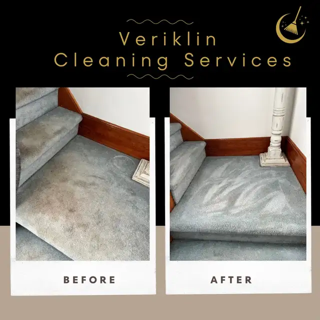 Professional Carpet Cleaning - Photo 4