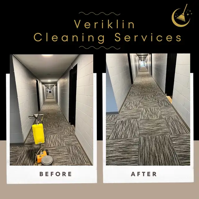 Professional Carpet Cleaning - Photo 6